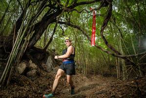 BIB: 
                            <button type="button" onclick="openModal(22178399)" class="btn btn-primary btn-sm float-right btn-popup" data-toggle="modal" data-target=".modal-high-quality">
                        <i class="fas fa-shopping-cart"></i> Add to Cart
                    </button>
                                            <button type="button" onclick="isThisMe(22178399, true)" class="btn btn-success btn-sm float-right btn-popup btn-isme hidden" data-toggle="tooltip" data-placement="bottom" title="นี่คือรูปของคุณใช่ไหม คลิกที่นี่เพื่อเอาเข้าอัลบั้ม">
                        <i class="fas fa-plus"></i> Add to album
                    </button>
                    <button type="button" onclick="isThisMe(22178399, false)" class="btn btn-warning btn-sm float-right btn-popup btn-isnotme hidden">
                        <i class="fas fa-ban"></i> Remove from album
                    </button>